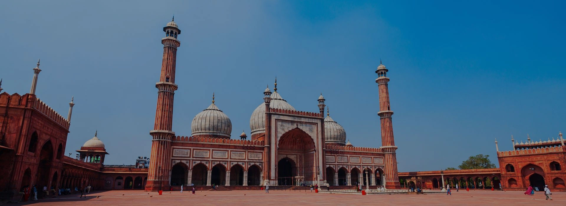 Full Day New and Old Delhi City Tour